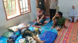 Petani Musi Rawas mengalami luka setelah diserang beruang liar saat bekerja di kebun di Sumatera Selatan. (Posnews/Ist)