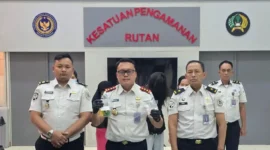 Petugas Rutan Salemba menunjukkan barang bukti narkoba yang diselundupkan saat jam kunjungan. (Posnews/Ist)