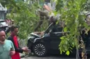 Pohon Tumbang Timpa Dua Mobil di Kelapa Gading Jakarta Utara, BPBD Pastikan Tak Ada Korban. (Posnews)
