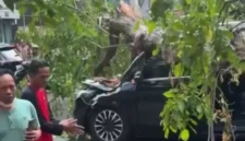 Pohon Tumbang Timpa Dua Mobil di Kelapa Gading Jakarta Utara, BPBD Pastikan Tak Ada Korban. (Posnews)
