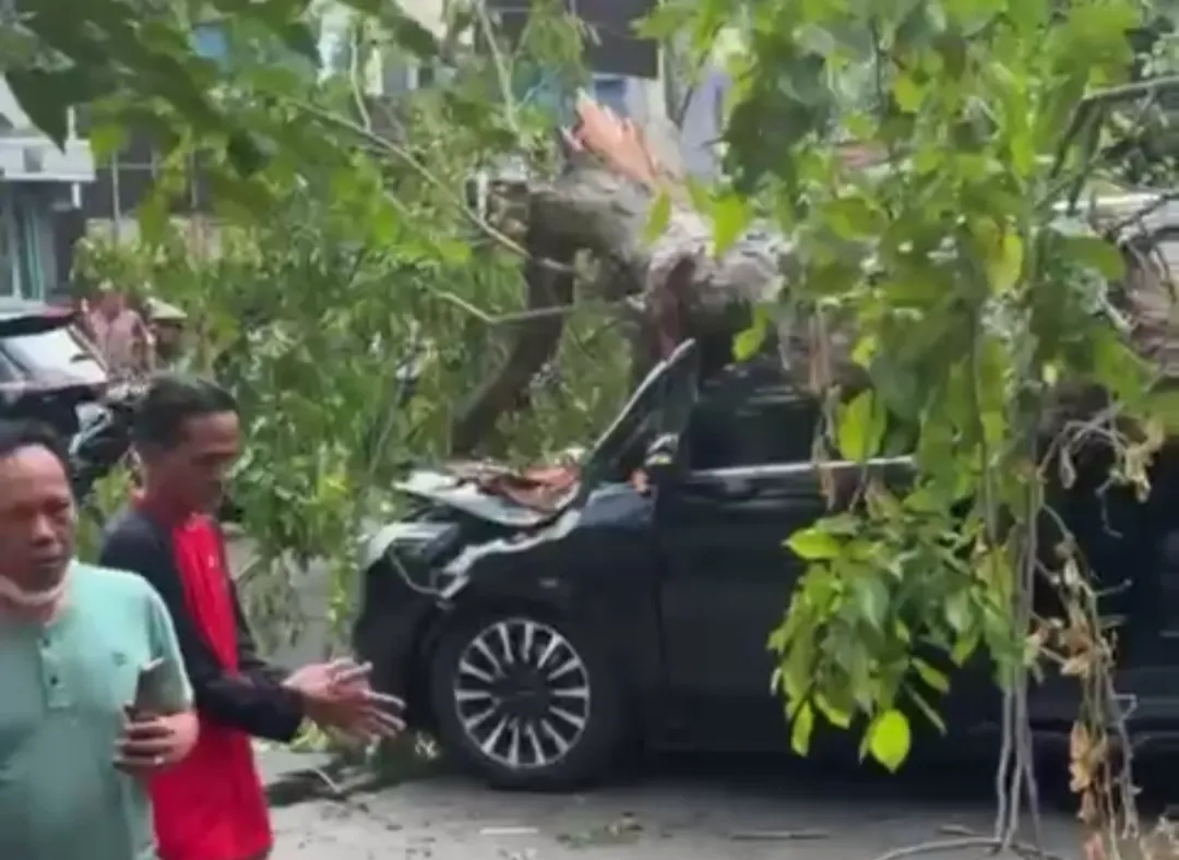 Pohon Tumbang Timpa Dua Mobil di Kelapa Gading Jakarta Utara, BPBD Pastikan Tak Ada Korban. (Posnews)
