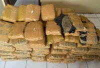 Polisi menunjukkan ratusan paket ganja seberat 112 kilogram yang ditemukan dalam mobil Toyota Avanza usai kecelakaan di Tapanuli Utara, Sumatera Utara. (Posnews/Ist)