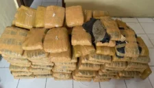 Polisi menunjukkan ratusan paket ganja seberat 112 kilogram yang ditemukan dalam mobil Toyota Avanza usai kecelakaan di Tapanuli Utara, Sumatera Utara. (Posnews/Ist)