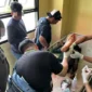 Personel Satgas Operasi Damai Cartenz-2026 saat mengamankan anggota KKB kelompok HSSBI dalam operasi penindakan di Distrik Dekai, Kabupaten Yahukimo, Papua Pegunungan. (Posnews/Ist)