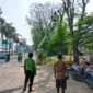 Petugas Sudin Pertamanan dan Hutan Kota Jakarta Utara menebang pohon tua yang rapuh di kawasan Bukit Gading Kirana, Kelapa Gading, sebagai langkah antisipasi setelah pohon tumbang menimpa dua mobil. (Posnews/MR)