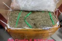 Paket Ganja 5,8 Kg Terbongkar di Banyuwangi, Polisi Ungkap Sindikat dari Dalam Lapas. (Posnews/Ist)
