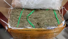 Paket Ganja 5,8 Kg Terbongkar di Banyuwangi, Polisi Ungkap Sindikat dari Dalam Lapas. (Posnews/Ist)