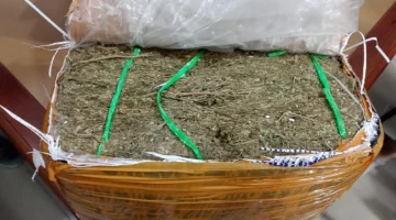 Paket Ganja 5,8 Kg Terbongkar di Banyuwangi, Polisi Ungkap Sindikat dari Dalam Lapas. (Posnews/Ist)