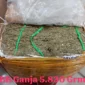 Paket Ganja 5,8 Kg Terbongkar di Banyuwangi, Polisi Ungkap Sindikat dari Dalam Lapas. (Posnews/Ist)