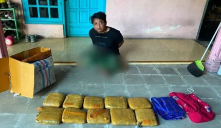 Tersangka penerima paket ganja diamankan dalam operasi Direktorat Tindak Pidana Narkoba Bareskrim Polri.