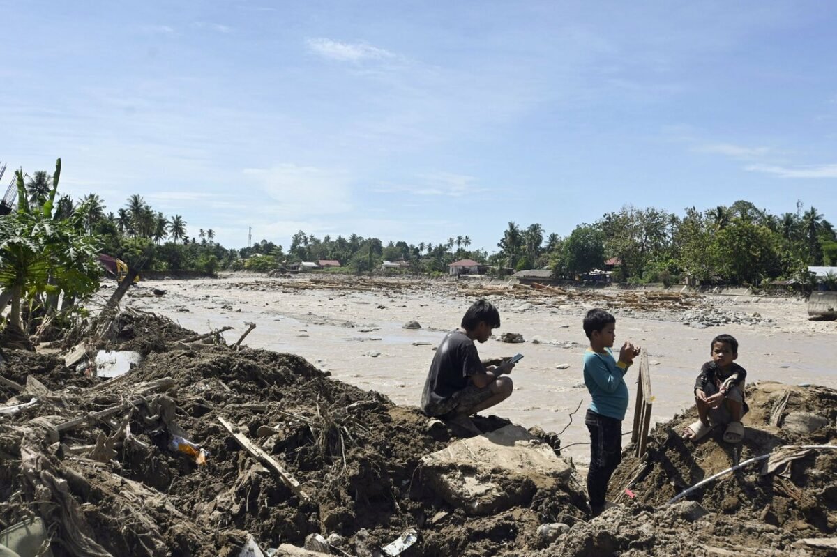 Ancaman kepunahan satwa langka. Bencana banjir dan tanah longsor di Sumatra melenyapkan sedikitnya tujuh persen populasi orangutan Tapanuli yang kritis. Dok: Istimewa.