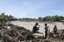 Ancaman kepunahan satwa langka. Bencana banjir dan tanah longsor di Sumatra melenyapkan sedikitnya tujuh persen populasi orangutan Tapanuli yang kritis. Dok: Istimewa.
