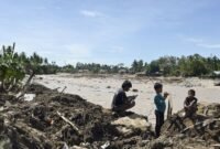 Ancaman kepunahan satwa langka. Bencana banjir dan tanah longsor di Sumatra melenyapkan sedikitnya tujuh persen populasi orangutan Tapanuli yang kritis. Dok: Istimewa.