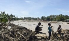Tanah Longsor Sapu Tujuh Persen Populasi Orangutan