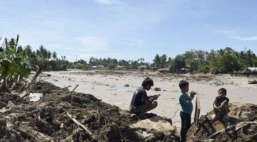 Ancaman kepunahan satwa langka. Bencana banjir dan tanah longsor di Sumatra melenyapkan sedikitnya tujuh persen populasi orangutan Tapanuli yang kritis. Dok: Istimewa.