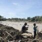 Ancaman kepunahan satwa langka. Bencana banjir dan tanah longsor di Sumatra melenyapkan sedikitnya tujuh persen populasi orangutan Tapanuli yang kritis. Dok: Istimewa.