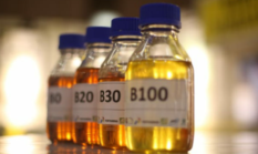 Pemerintah Bersiap Gulirkan Kebijakan Biodiesel B50
