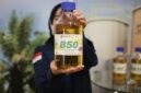 Langkah berani energi hijau. Pemerintah resmi memberlakukan mandat biodiesel B50 untuk mengamankan kemandirian energi nasional. Dok: Istimewa.