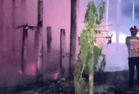 Kandang peternakan ayam di Tulungagung terbakar dan menewaskan 3.100 ekor ayam. (Posnews/DPKP Tulungagung)
