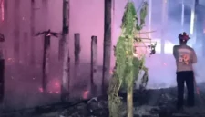 Kandang peternakan ayam di Tulungagung terbakar dan menewaskan 3.100 ekor ayam. (Posnews/DPKP Tulungagung)