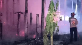 Kandang peternakan ayam di Tulungagung terbakar dan menewaskan 3.100 ekor ayam. (Posnews/DPKP Tulungagung)
