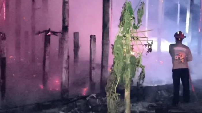 Kandang peternakan ayam di Tulungagung terbakar dan menewaskan 3.100 ekor ayam. (Posnews/DPKP Tulungagung)
