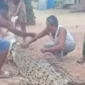 Buaya muara berukuran sekitar 5 meter tersangkut jaring nelayan di aliran Sungai Barumun, Labuhanbatu Selatan. (Posnews/Polsek Kampung Rakyat)