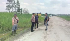Cari Sinyal HP, Pekerja Sawit di Pelalawan Tewas Diterkam Harimau Sumatra