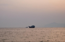 Dua kapal tanker minyak Saudi memutar balik arah di Laut Merah pasca-ancaman blokade Houthi, di tengah gempuran udara berkelanjutan AS ke wilayah Iran. Dok: Istimewa.