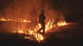 Kebakaran hutan terburuk guncang Spanyol. Petugas pemadam berjuang mencegah dua kobaran api raksasa menyatu di dekat ibu kota Madrid. Dok: Istimewa.