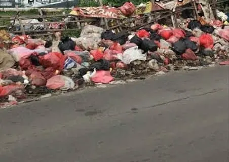 Tumpukan sampah di tepi jalan dan saluran air yang tergenang di Kecamatan Tarumajaya, Kabupaten Bekasi, dikeluhkan warga karena menimbulkan bau tidak sedap dan mengganggu aktivitas sehari-hari. (Posnews/Istimewa)