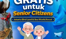 Gratis Masuk Sea World Ancol untuk Usia 60 Tahun ke Atas, Catat Syaratnya
