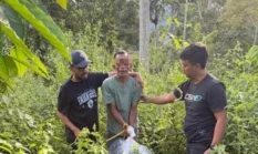 Residivis Narkoba Kembali Ditangkap, Kurir Ganja 6 Kg Dibekuk di Aceh