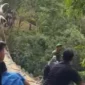 Jembatan Gantung Pongpet di Cijulang Pangandaran ambruk setelah baru diresmikan. (Posnews/YouTube)
