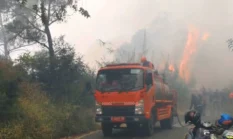 BNPB: Kebakaran Bromo Capai 742 Hektare, TNBTS Masih Ditutup