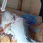 Lansia Cakung Disekap dan Dilakban Saat Salat, Perampok Dibekuk Polisi. (Posnews/Polsek Cakung)