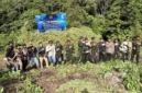 Petugas BNN memusnahkan puluhan ribu batang ganja di ladang seluas 12 hektare di Nagan Raya, Aceh. (Posnews/ BNN)