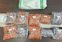 Petugas Bareskrim mengungkap jaringan narkoba etomidate di Rupat, Bengkalis, dengan barang bukti 1.400 vape dan ekstasi. (Posnews/Bareskrim)