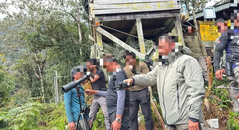foto slider headline