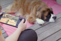 Valve memperluas dukungan SteamOS ke lebih banyak handheld pihak ketiga seperti MSI, OneXPlayer, dan perangkat berbasis ARM lewat update beta terbaru. Dok: Istimewa.