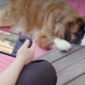 Valve memperluas dukungan SteamOS ke lebih banyak handheld pihak ketiga seperti MSI, OneXPlayer, dan perangkat berbasis ARM lewat update beta terbaru. Dok: Istimewa.
