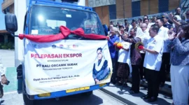 Wamendag Dyah Roro Esti melepas ekspor 3,5 ton salak Bali ke Tiongkok di The Keranjang Bali, Badung. (Posnews/Kemendag)