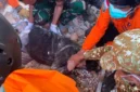 Warga mengevakuasi korban dari reruntuhan rumah akibat gempa M 7,7 di Manggarai Timur, Nusa Tenggara Timur. (Posnews/REUTRES)