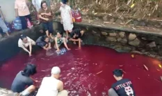 Heboh Air Kolam di Bogor Berubah Merah, Begini Penjelasan Polisi