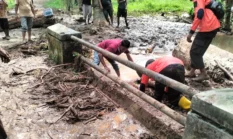 Banjir Bandang Pasaman Rendam 55 Rumah, Satu Warga Terseret Arus