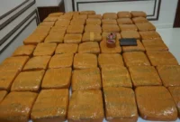 Barang bukti 62,5 kilogram ganja yang disita Polda Metro Jaya dari Petamburan.  (Posnews/Ist)

