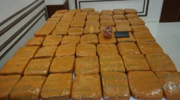 Barang bukti 62,5 kilogram ganja yang disita Polda Metro Jaya dari Petamburan. (Posnews/Ist)