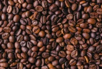 Ilustrasi, Biji Kopi. (Freepik)