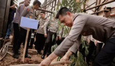 Kapolda Metro Jaya Dadang Hartanto bersama personel dalam kegiatan Green Policing, kerja bakti, dan penanaman pohon di lingkungan Polda Metro Jaya. (Posnews/Humas PMJ)