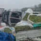 Kecelakaan beruntun 15 kendaraan di Tol Cipularang KM 91 arah Jakarta.
